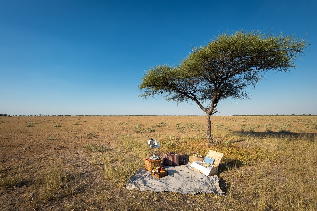 Central Kalahari Game Reserve Inspired By Safaris