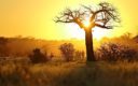 Wandelsafari in Afrika – Safari op zijn best