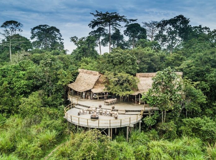 Pionier safari in het regenwoud van Congo – 9 nachten