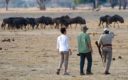 Hwange National Park